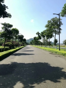 广州洋塱湖道路景观