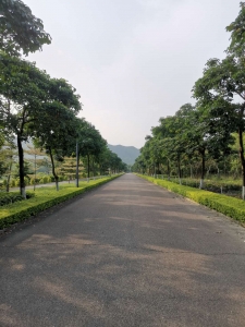 广州道路景观